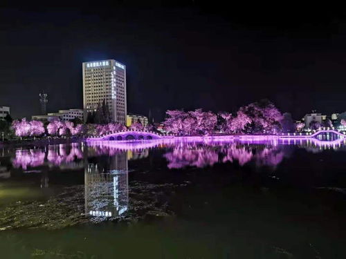 别端着，嗨起来！长丰六条精品旅游线路邀您来打卡