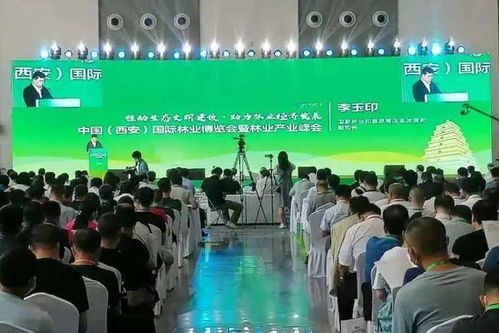 旬邑林产品闪耀西安林博会，荣获金奖背后的绿色发展智慧